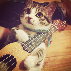 青少年邪淫性交影视
